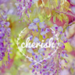 Meet your Posher, Marissa